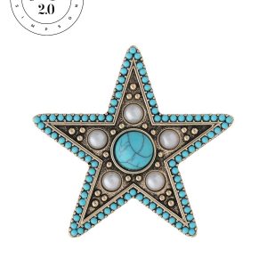 Jessica Simpson 2.0 Turquoise Imperial Star Brooch